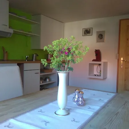 „Lebenslust“ Appartement Möggers Buitenkant foto